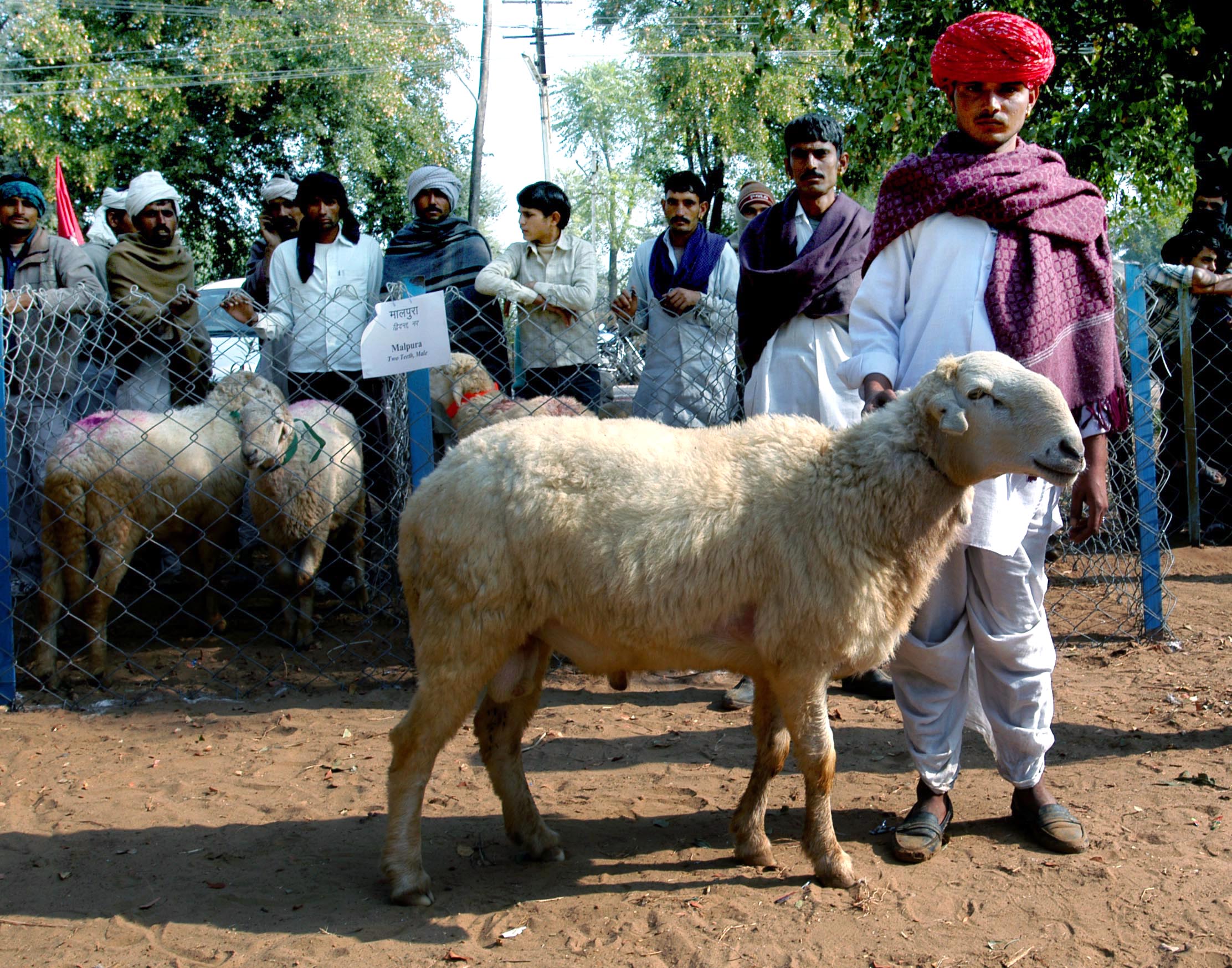 Kisan Mela 2012_1